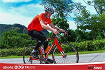 ABOITIZ TRI2015