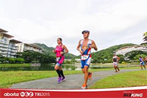 ABOITIZ TRI2015