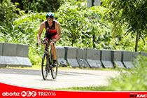ABOITIZ TRI2015